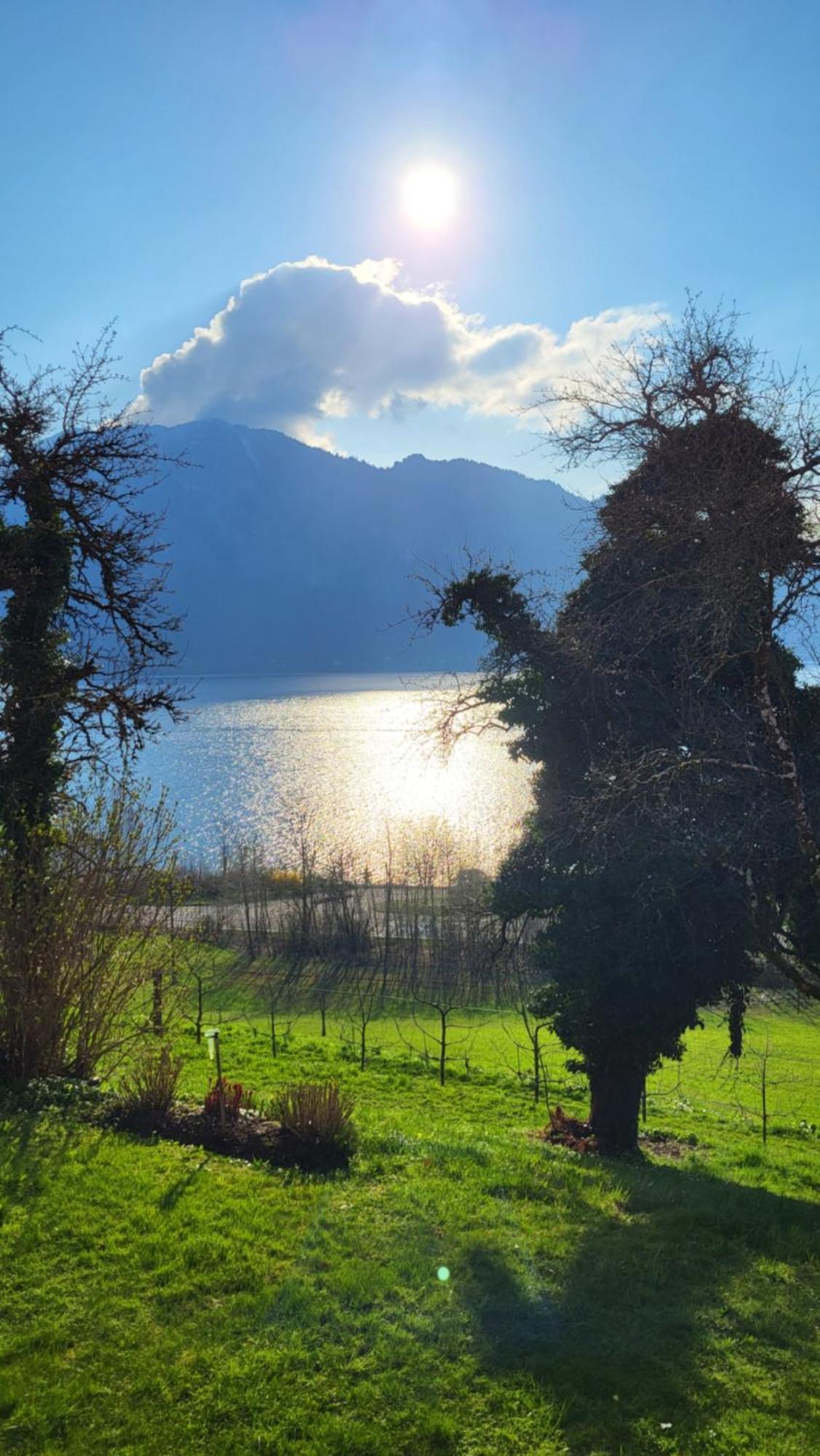 Exklusiv Apartment Scheichl Unterach am Attersee Kültér fotó